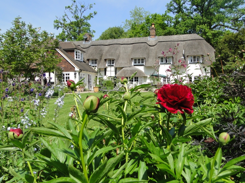 The Thatched Cottage